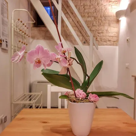 Mirum Apuliae 16 Apartment *